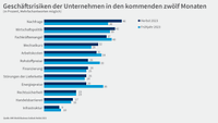 Grafik WBO Herbst 2023 Geschäftsrisiken