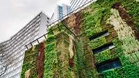 Begrüntes Gebäude in Sao Paulo