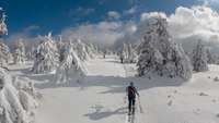 Langläufer in Schneelandschaft