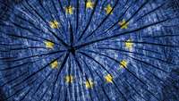 EU-Flagge auf Baumstamm