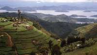 Blick in ein Tal in Ruanda