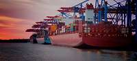 Drei Containerschiffe am Terminal