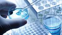 Biotechnik