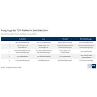 Top-Risiken statisch FS 2024