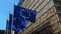 Drei EU-Flaggen wehen vor dem Ratsgebäude