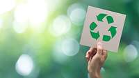 Recycling Recycling