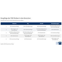 Top-Risiken zu Jahresbeginn 2025
