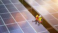 Zwei Arbeiter stehen an einem Solarpanel