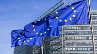 Flaggen der EU wehen im Wind