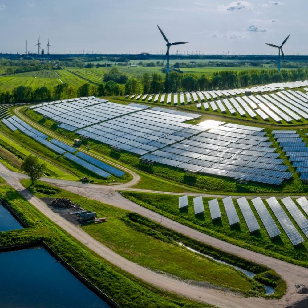 Ein Feld mit Solarpanels und Windrädern