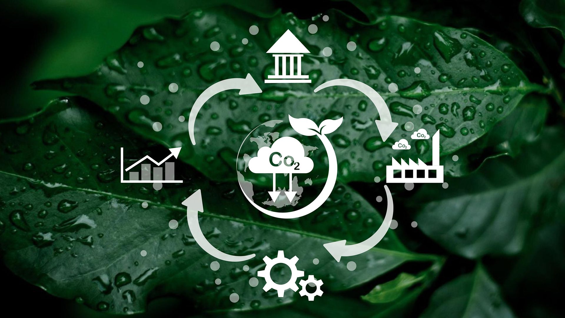 Emissionshandel CO2 Kreislauf