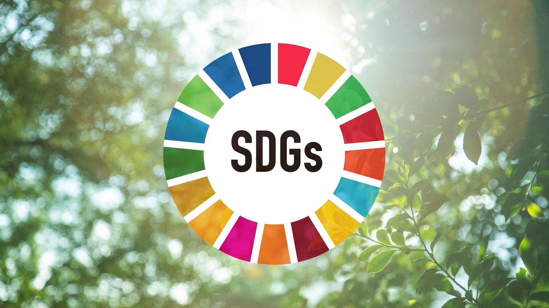 SDGs