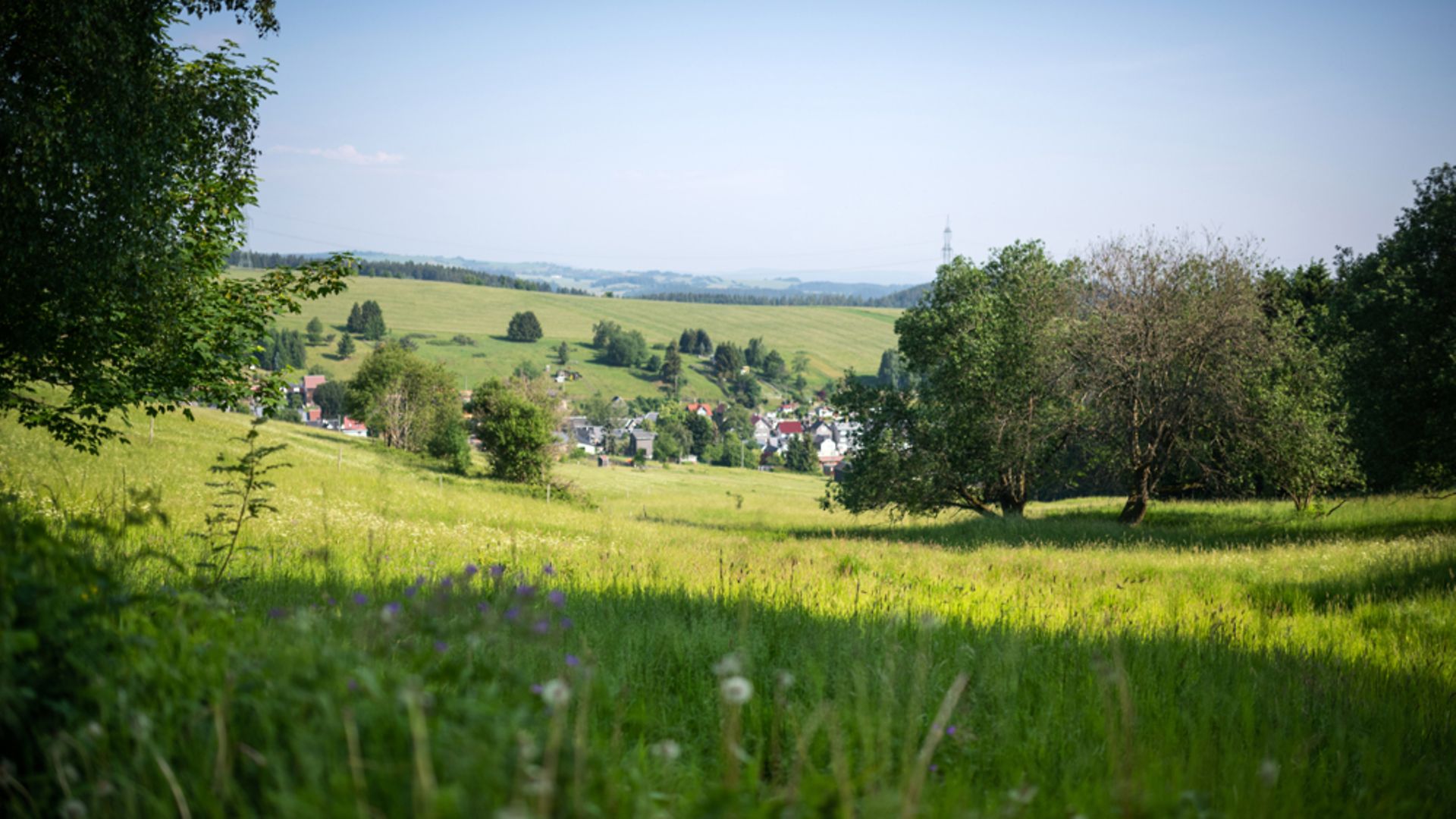 Ländlicher Raum, Dorf in einem Wiesental