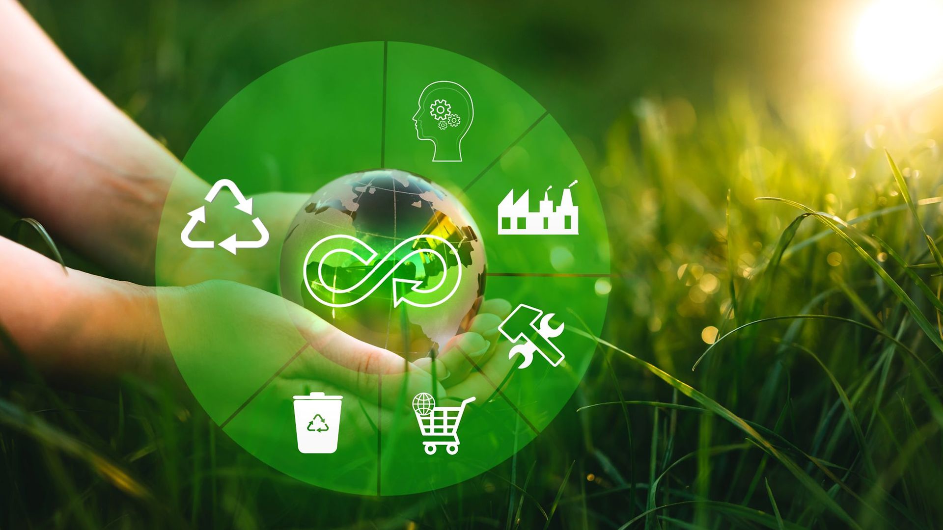 Kreislaufwirtschaft-Symbole auf Wiese