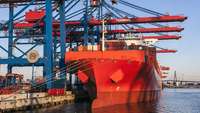 Rotes Frachtschiff mit Kränen im Hafen