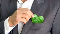 Ein umgedrehtes Blatt steckt als "grünes Herz" in der Brusttasche eines Anzuges