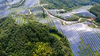 Große Solaranlage in einem chinesischen Wald