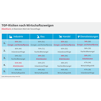 Grafik zur Konjunkturumfrage Herbst 2022, Top-Risiken nach Wirtschaftszweigen