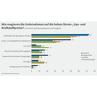 Grafik zur Konjunkturumfrage Herbst 2022, Reaktionen auf Energiepreise nach Branchen 