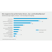 Grafik zur Konjunkturumfrage Jahresbeginn 2023, Reaktionen auf Energiepreise 