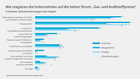 Grafik zur Konjunkturumfrage Jahresbeginn 2023, Reaktionen auf Energiepreise 