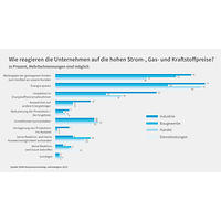 Grafik zur Konjunkturumfrage Jahresbeginn 2023, Reaktionen auf Energiepreise 