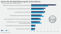 Grafik Digitalisierungsumfrage 2023, Motive