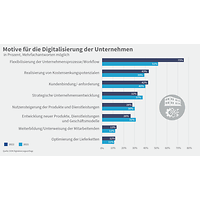 Grafik Digitalisierungsumfrage 2023, Motive