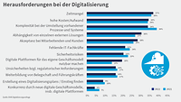 Grafik Digitalisierungsumfrage 2023, Herausforderungen