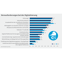 Grafik Digitalisierungsumfrage 2023, Herausforderungen