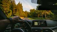 Blick in ein Auto-Cockpit bei Fahrt durch den Wald