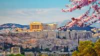 Akropolis in Athen im Frühling